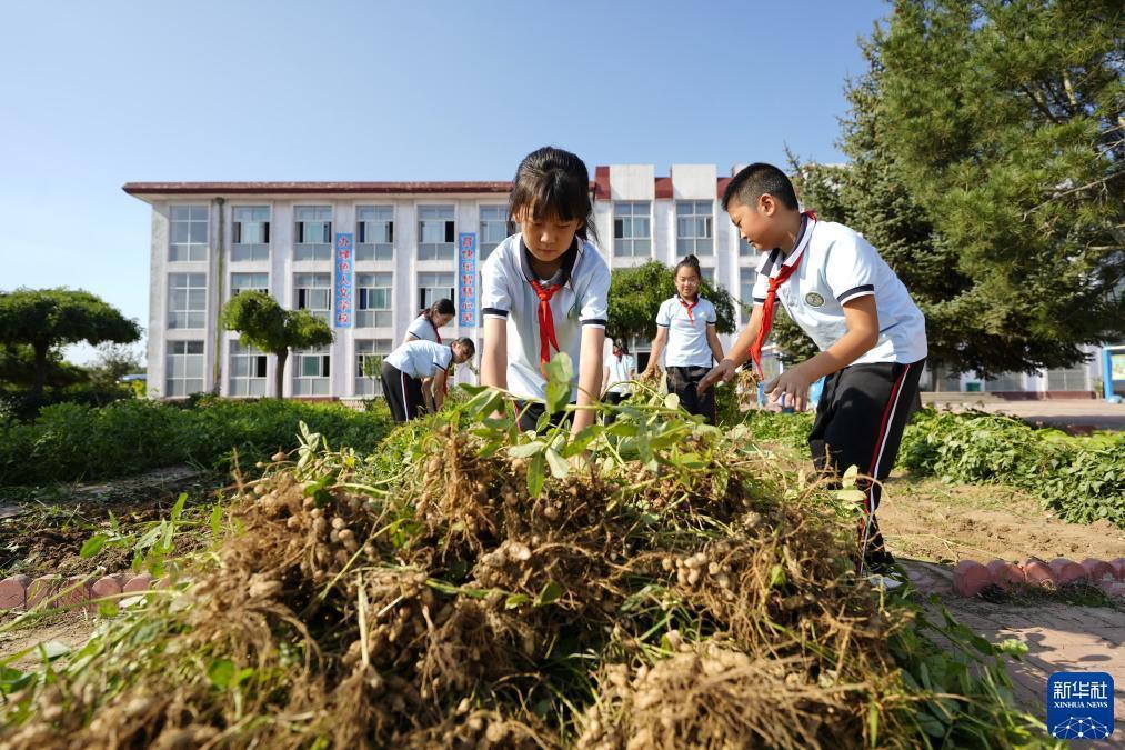 吆发娱乐下载